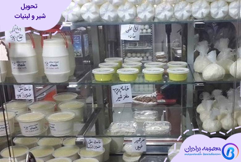 بهترین ایده های بیزینس در ایران با تحویل شیر و لبنیات