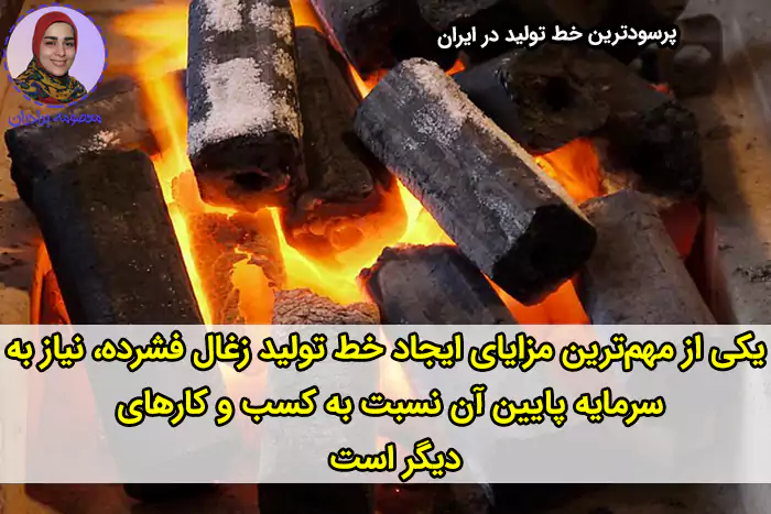 خط تولید زغال فشرده یکی از پرسودترین خط تولیدها در ایران 