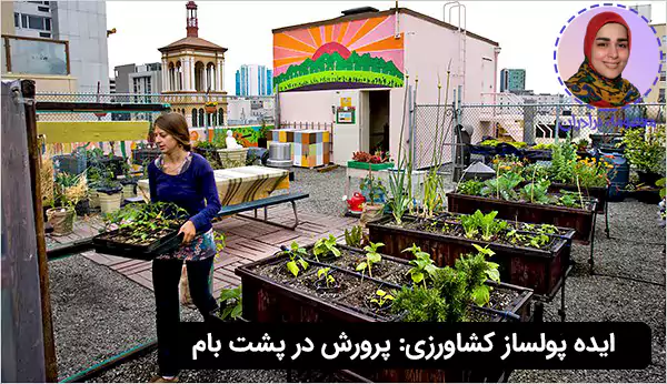 پرورش گیاه در پشت بام یکی از ایده های پولساز کشاورزی در منزل و فضای کوچک است